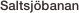Saltsjöbanan